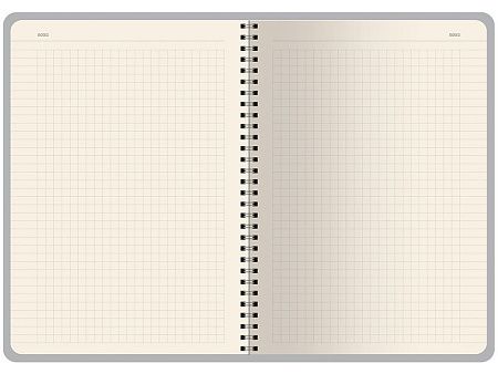 Бизнес тетрадь А5 «Pragmatic»