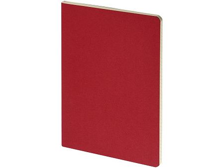 Бизнес-тетрадь А4 «Pragmatic»