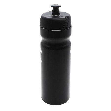 Бутылка для напитков Active Blue line, 750 мл