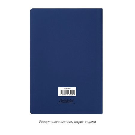 Ежедневник Spark недатированный, серый (без упаковки, без стикера)