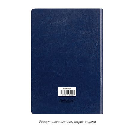 Ежедневник Ривер Сайд (River side) недатированный, синий/оранжевый (без упаковки, без стикера)