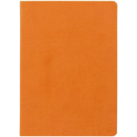 Ежедневник Basis, датированный, оранжевый