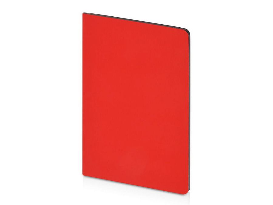 Бизнес-тетрадь А5 «Pragmatic Contrast»