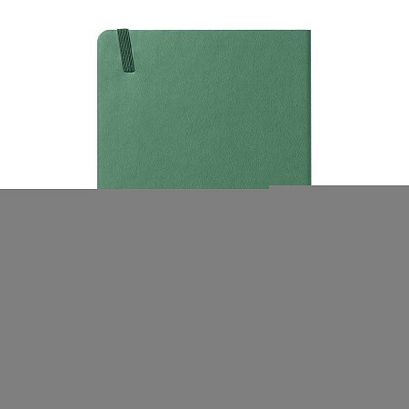 Бизнес-блокнот "RILY", формат А5,  зеленый, блок в точку