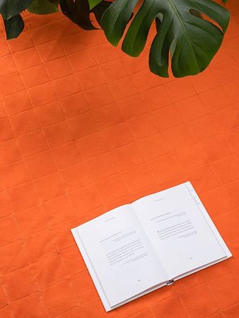 Плед для пикника Soft & Dry 2, оранжевый