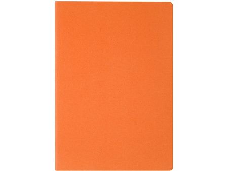 Бизнес-тетрадь А4 «Pragmatic»