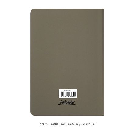 Ежедневник Spark недатированный, серый (без упаковки, без стикера)