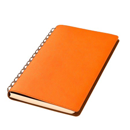 Ежедневник Vista недатированный, оранжевый/коричневый
