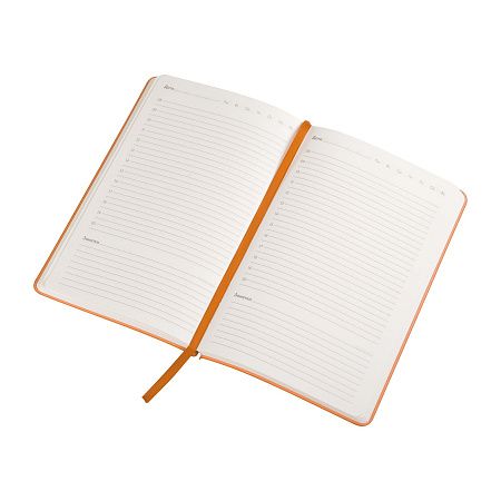 Ежедневник недатированный "Альба", формат А5, гибкая обложка