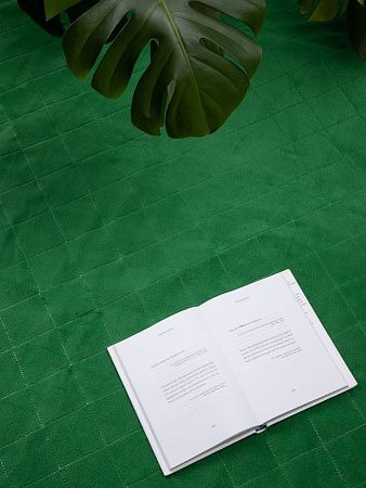 Плед для пикника Soft & Dry 2, зеленый