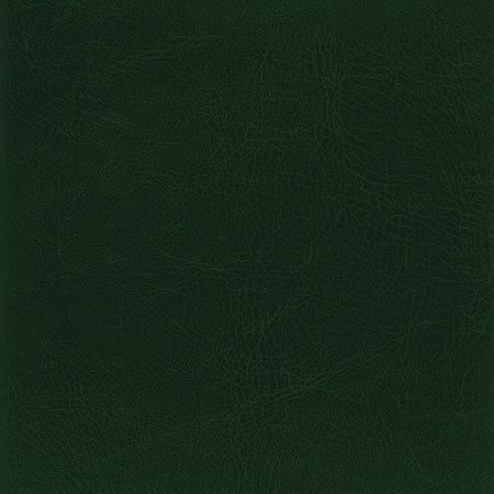 Ежедневник City Buffalo А5, зеленый, недатированный, в твердой обложке с поролоном