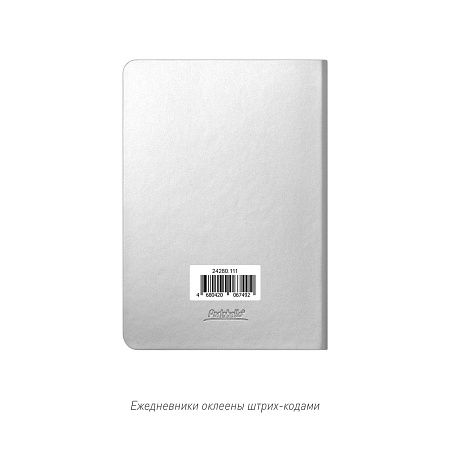 Ежедневник Spark mini A6 недатированный, серебряный
